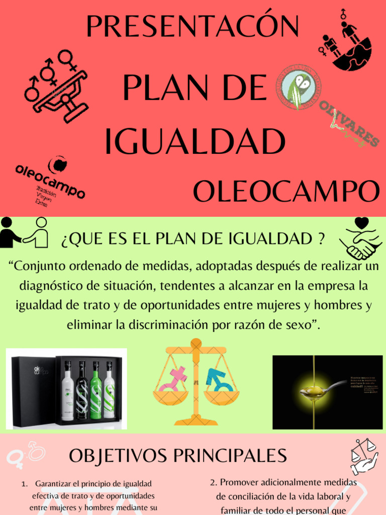 PLAN DE IGUALDAD | PDF | Igualdad de género | Estudios de género