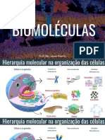 Aula 2 - Biomoléculas