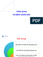 BÃ I 1.3 Tong Quan Ve Giang Mai