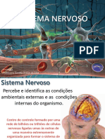 Sistema Nervoso 2024