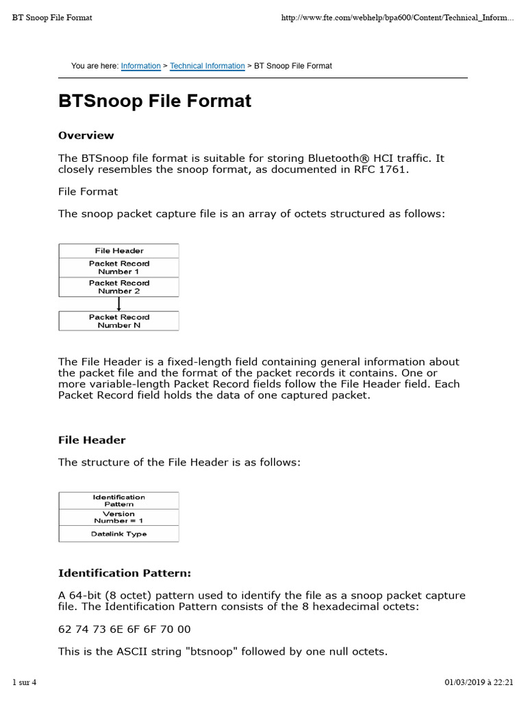 EN - Fte - Com - BT Snoop File Format | PDF | Integer (Computer Science ...