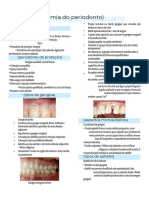 Resumo Anatomia Do Periodonto - Anna G PDF