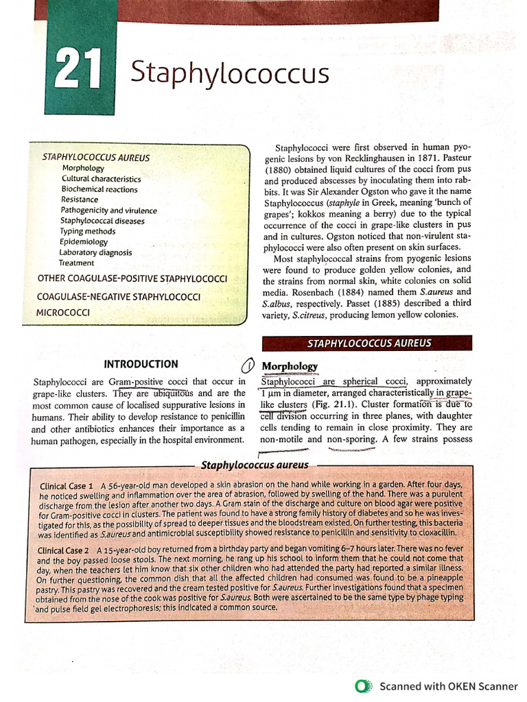 Bacteriology Unit 4 PDF