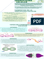 Infografía Biología Tipos de células Ilustrativa Verde (1)