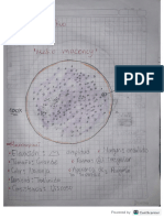 Identificación de Microorganismos