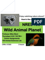 Wild Animal Planet Poster