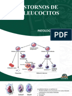 Tema 4 Leucocitos