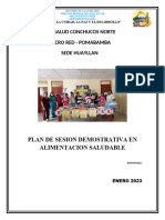 PLAN SESIONES DEMOSTRATIVAS-MRP 2023