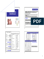 Tema 2b - Umbrales Sensoriales ACTUAL v22 - 19 D