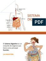 sistema digestivo primera parte