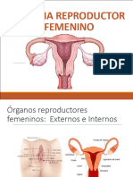 Sistema Reproductor Femenino 2022