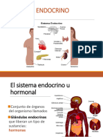 Sistema Endocrino 2022