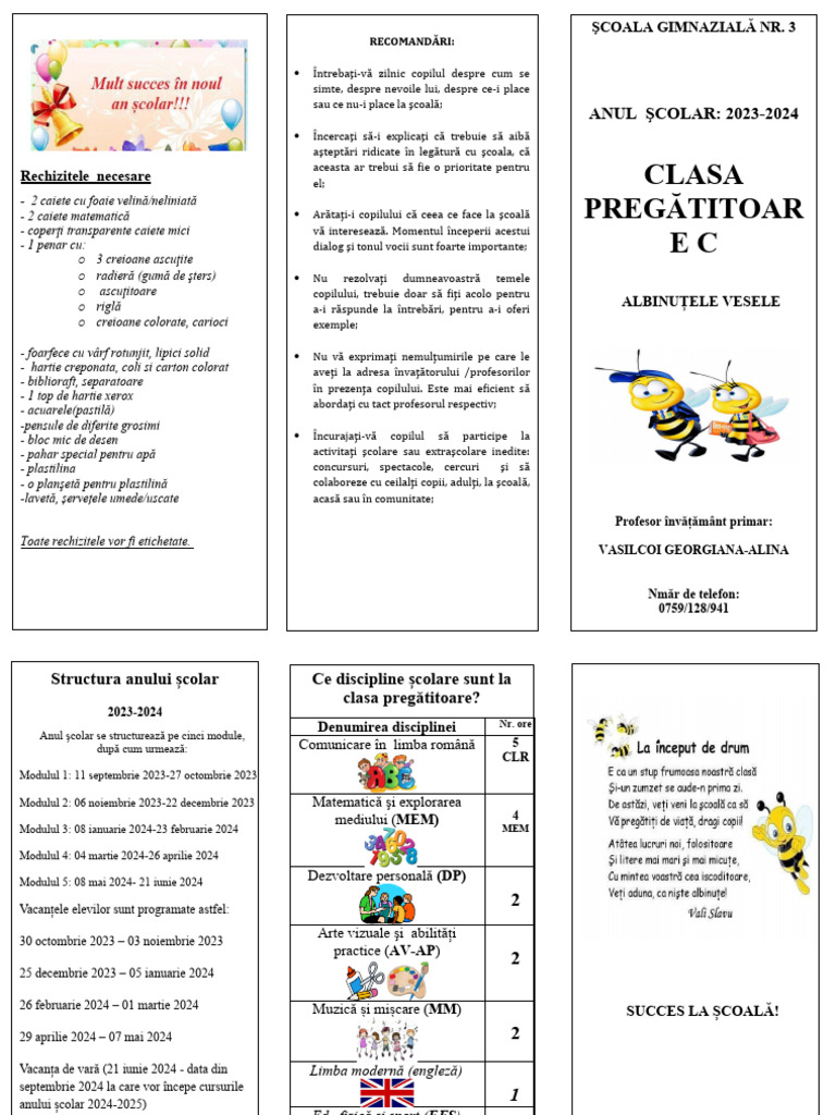 Pliant C.P. Albinute | PDF