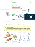 Dossier CCNN 3r ESPA 095