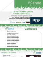 Tipos de Vacina e Suas Caracteristicas 1 2024