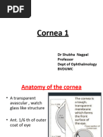 Cornea - 1