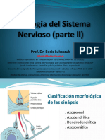 Histología Del Sistema Nervioso (Parte LL)