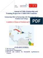 OAS-Chile Scholarship Announcement_UTT