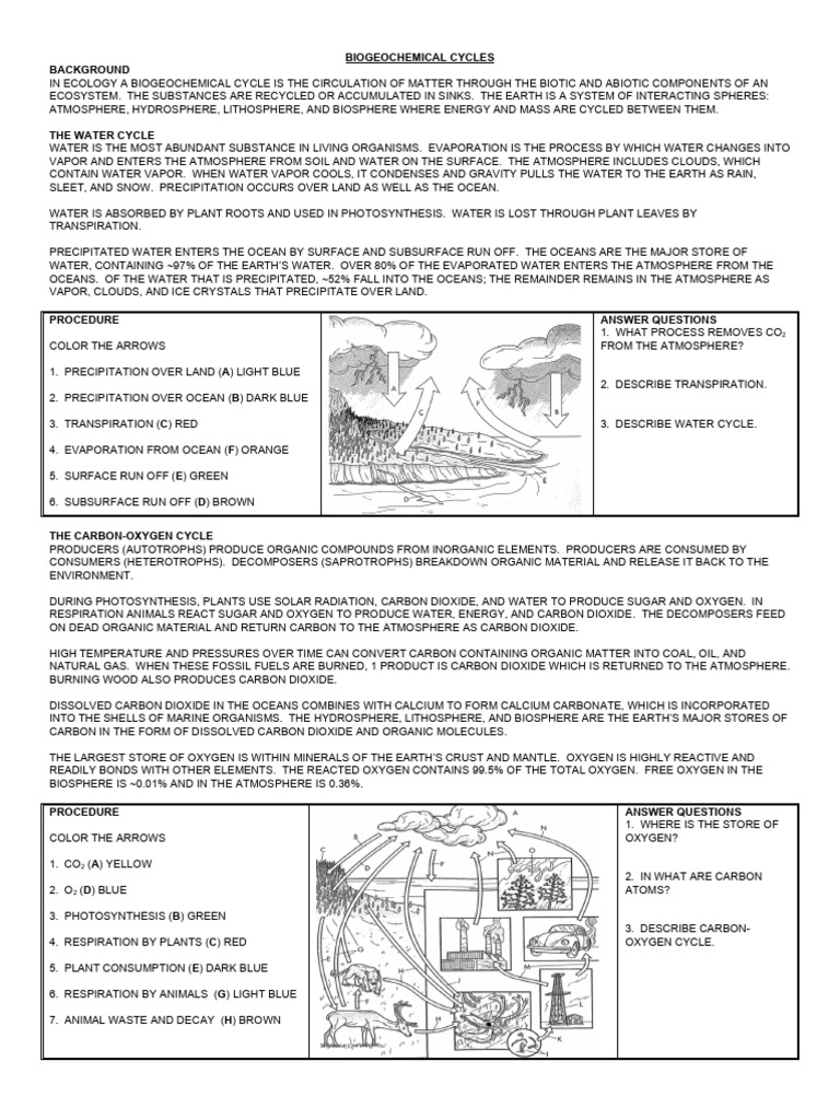 Biogeochemical Cycles Pdf Oxygen Carbon