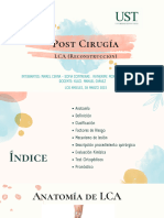 Post Cirugía: LCA (Reconstrucción)