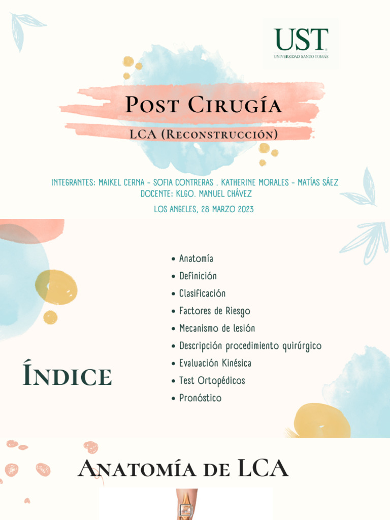 Rehabilitación Post Cirugía LCA | PDF | Rodilla | Articulaciones