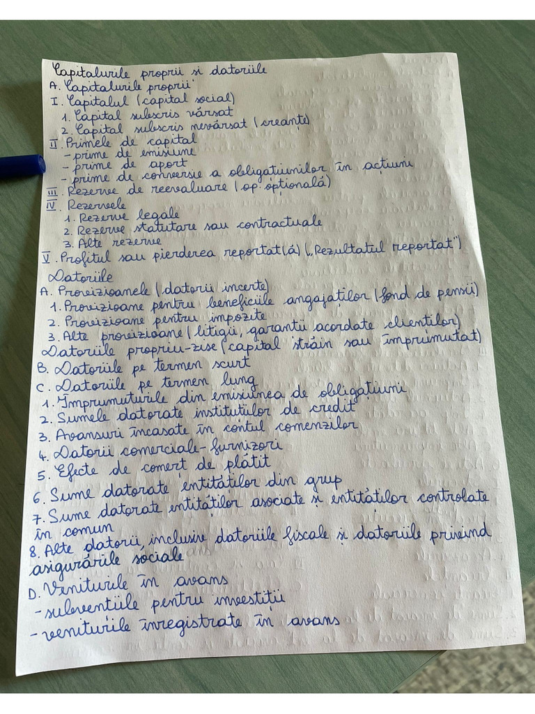 Capitaluri Proprii Si Datorii | PDF