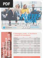 Bluebird IT Salary Guide