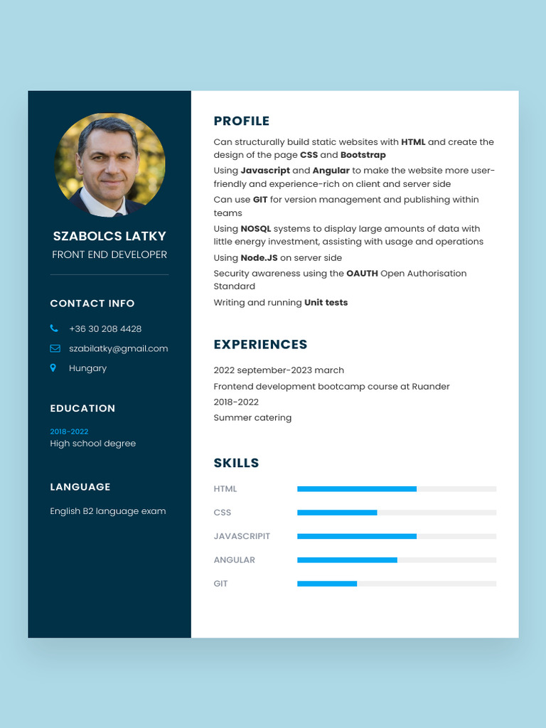 Responsive CV Using HTML & CSS | PDF | Business