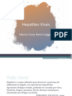 Aula 08 - Hepatites Virais