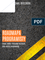 Roadmapa_programisty___fragment_1