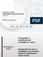 AULA 02 - Sistema Esquelético