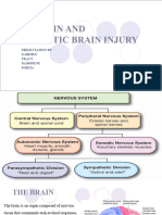 THE BRAIN AND TRAUMATIC BRAIN INJURY( GABI)