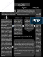 COLACIÓN MAPA CONCEPTUAL PDF.