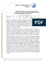 Autorización de Quien Detenta La Patria Potestad de Un Menor de Edad