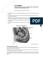 Aparato Genital Femenino-Anatomia