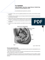 Aparato genital femenino-Anatomia