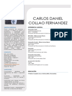 Curriculum Carlos Collao