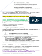 BIOQ SEM 5- Ciclo de la Urea..