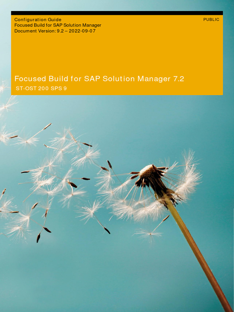 Focused Build Setup for SAP 7.2 | PDF | Cache (Computing) | Databases