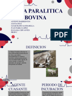 Rebia Paralitica Bovina