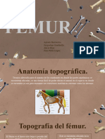 Hueso Femur. Anatomia. Prop C