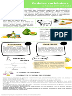 cadeias carbonicas