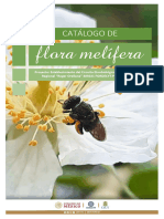 Catalogo Flora Melifera