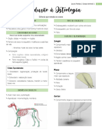 Introdução À Osteologia