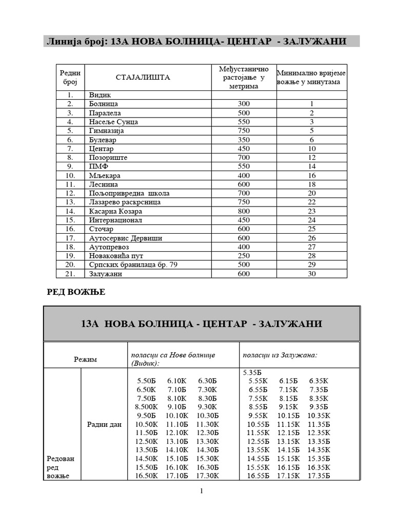 13A 2021 Nova Bolnica Centar ZAluzani 2 | PDF