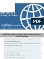 Global Implications and Future of Carbon Petkoski