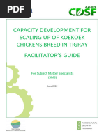 Koekoek Chicken Facilitator Guide For Subject Matter Specialists English