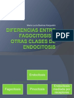 Diferencias Entre Fagocitosis y Otras Clases de Endocitosis