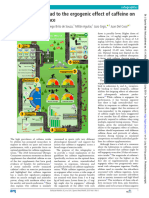 10.1136@bjsports-2019-101018 Efeito Ergogênico Da Cafeína