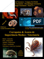 Acarologia VeterinÃ¡ria Parte I